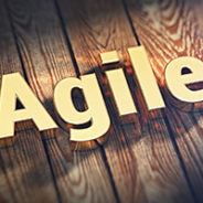 Can Agile and Traditional (Predictive) Software Development Co-Exist?