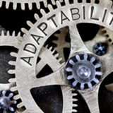 Adaptability: The Underestimated Skill