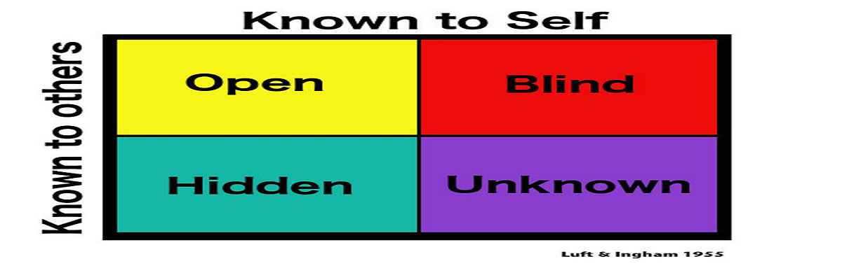 Understanding the Johari Window Model from the perspective of personal and professional development